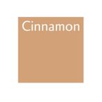 Letraset O427 Promarker Cinnamon Çizim Kalemi