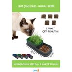 Letsii Topraksız Hidroponik Kedi Çimi Kabı 25x10 cm ile 5 Paket Çim Tohumu