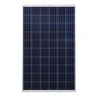 Lexron 295W Polikristal Güneş Paneli