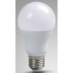 Lexron Solar LED Ampul 12 Volt 10 Watt 10 W Akü Lambası Beyaz