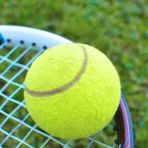 Leyaton 1 Adet Sarı Tenis Topu Antrenman Tenis Topu - Renkli