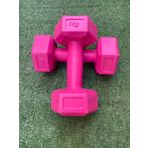 Leyaton 1 kg Pembe Dambıl Seti Ağırlık Seti