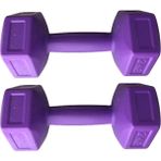 Leyaton 2 kg x 2 Adet Dambıl Vinyl Kaplı Dumbell Ağırlık - Mor