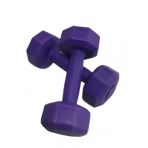 Leyaton 2x1 kg Mor Plastik Dambıl