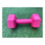 Leyaton 2x1 kg Pembe Dambıl Seti Ağırlık Seti
