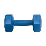 Leyaton 4 kg Mavi Tek Dambıl