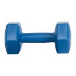 Leyaton 4 kg Tek Mavi Pilastik Dambıl Set