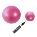 Leyaton 65 Cm Pembe + 25 Cm Pilates Topu 2'li Set