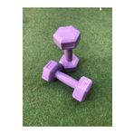 Leyaton Leyayon 1 Kg X 2 Adet Dambıl Vinyl Kaplı Dumbell Ağırlık - Mor Renk