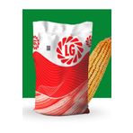 LG Truva Silajlık Mısır Tohumu