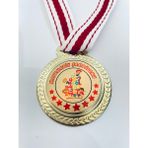 Lider Baskı 1 Adet Matematik Şampiyonu Madalyası - Dijital Baskılı Madalya - 5,5 x 5,5 cm - Altın