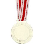 Lider Baskı 10 Adet Gümüş Boş - Baskısız Madalya