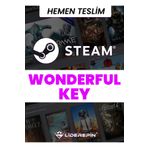 LİDER EPİN Steam Random (wonderful) Key