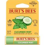 Lidyahan Store Bees Salatalık NANELI%100 Doğal Nemlendirici Dudak Balsamı, 0,15 Oz