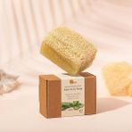 Life Doğal Kabak Lifli Aloe Vera Sabunu - Cilt Kuruluğu Karşıtı, Besleyici, Nemlendirici Yüz V