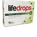 Life Propolis Adaçayı Ballı 24LÜ Pastil Drops