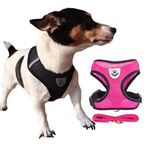 Life Utility Köpek koşum takımı, L beden, pembe, havalandırmalı, köpekler / yavru köpekler / kediler için + farklı renklerde tasma, çekme koruması, ayarlanabilir, büyük ve çok büyük, 5 renk seçeneği