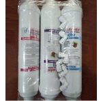Lifewater 12'' Inline Kapsül Filtre Takımı