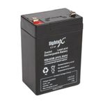 Lightex LT-45N 4V 5.5AH Kuru Akü