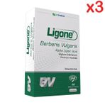 Ligone Berberis Vulgaris 3x60 Kapsül