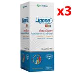 Ligone Kids Beta Glucan Multivitamin Mineral 3x150 ml Şurup