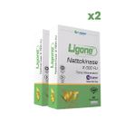 Ligone Nattokinase 2x30 Kapsül