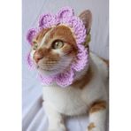 Lila Sarı Bandana Tasma Yazlık Örgü Kedi Köpek Şapkası Evcil Hayvan Şapkası Pet Aksesuarları