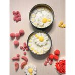 Lilac Mum Papatya Mum - 1 Adet