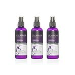 Lilamor İntense Therapy Keratin Saç Bakım Fön Sütü 200 ml - Besleyici, Koruyucu Etki , Isı x 3ADET