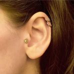 Lilarote Pırlanta Taşlı Yunus Balığı Tragus Küpe