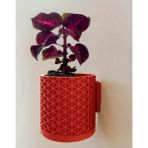 LiLii Art Home Özel Dizayn Saksı Duvar Askılı, Atık Su Hazneli Modern Desenli-002 - Kırmızı