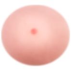 Lilitu Shop True Breast Gerçekçi Realistik Kadın Göğüsü Bayan Yapay Göğüs