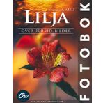 Lilja: Över 100 HD-bilder