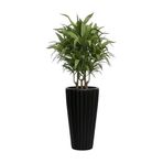 Lilyum Dekoratif Çizgili Saksı Vazo & Şemsiyelik Siyah Renk 58 cm Hazneli