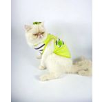 Lime Fuzz Atlet Kedi Kiyafeti Kedi Elbisesi