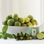 LİMON AROMALI FESLEĞEN TOHUMU