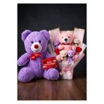 Linalux Gifts Nişanlıya Sevgiliye Eşe Alınabilecek Seni Seviyorum Kartlı Mor Peluş Ayıcık Seti Sevgiliye Anlamlı Hediye