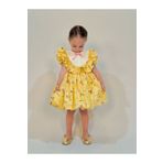 Linarookids Defne Sarı Vintage Kız Bebek Elbise,Doğum günü elbise,fotoğraf çekim elbise,0-7 Yaş Uygun