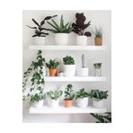 LİNDE HOME 50x15cm Beyaz Duvar Rafı, Duvar Dekorasyonu, Kitaplık