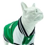 Lindo Dogs Beden 3 College Boston Köpek Sweatshirt