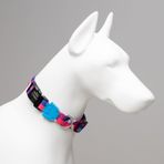 Lindo Dogs Pink Dream Renkli Small Köpek Boyun Tasması