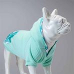 Lindo Mint Green 3 Köpek Sweatshirt