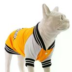 Lindodogs College California Sarı 0 Küçük Orta ve Büyük Irk Köpek Sweatshirt