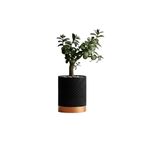 Linea Noir – Modern Saksı