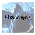 Lineaeffe 400 cm Discovery Karbon Surf Kamış