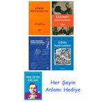 Lineer Programlama + Geometri + Rubu Tahtası Yapım Kılavuzu + Gödel Kanıtlaması + Her Şeyin Anlamı