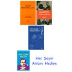 Lineer Programlama + Geometri + Rubu Tahtası Yapım Kılavuzu + Her Şeyin Anlamı