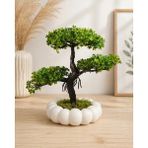 Lineva Beyaz Bubble Saksıda Yapay Bonsai Ağacı Dekoratif Saksı Çiçeği Ev Ofis Masa Üstü Bitki