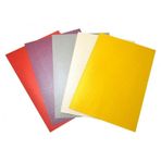 Lino 5 Renk 49x69 Cm 230 Gr 10'lu Sedefli Karton