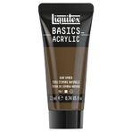 Liquitex Basics Akrilik Boya 22ml Raw Umber ROW 331